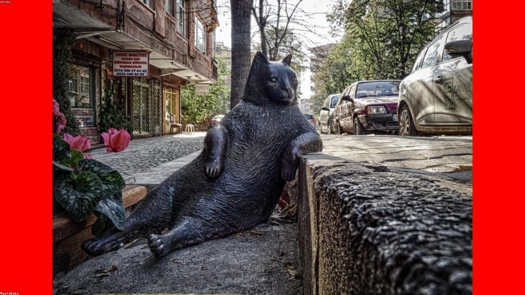 Dogum sonrasi karin toparlama: haftalik yol haritasi - Ilk 1 ay