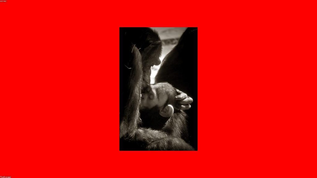 Emziren annede süt artıran besinler