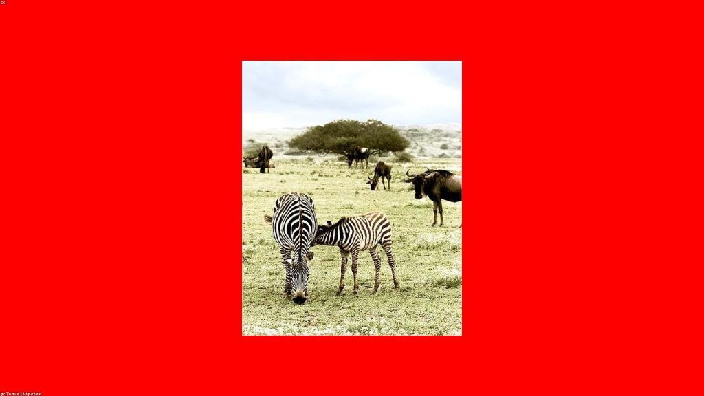 Emziren annede gaz yapan yiyecekler listesi