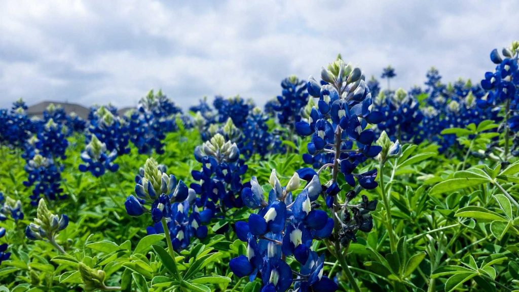 Doğum sonrası saç dökülmesi önerileri