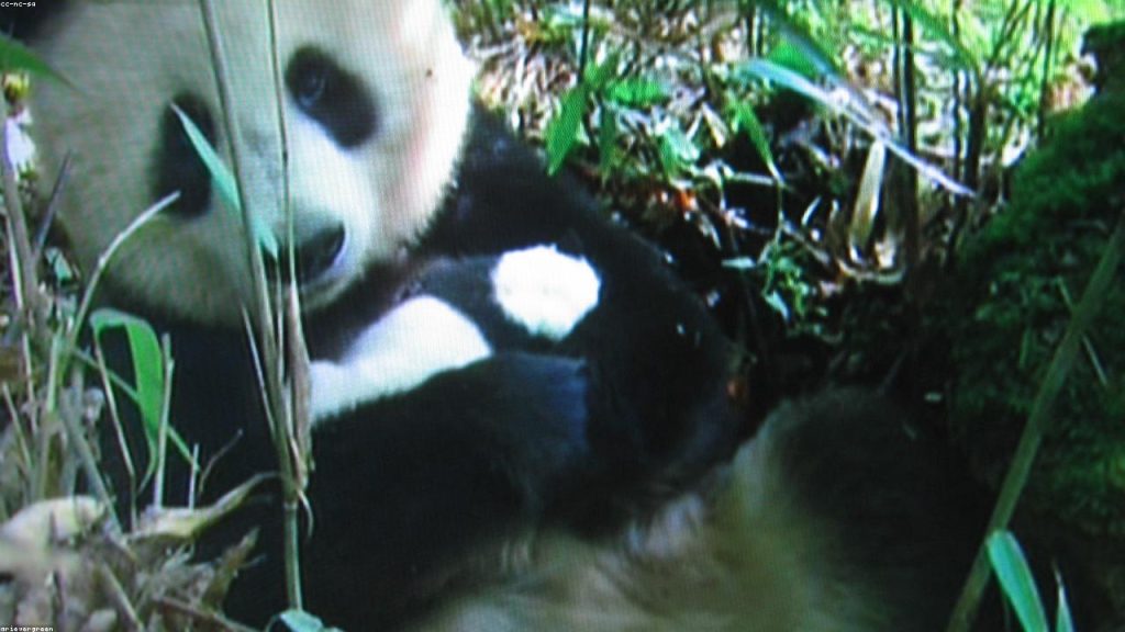 Emziren annede kilo verme sürecinde doğru yaklaşım | 20260320-1107